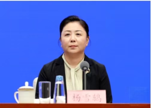 體育總局經濟司司長楊雪鶇：推動體育產業(yè)高質量發(fā)展 助力體育強國建設