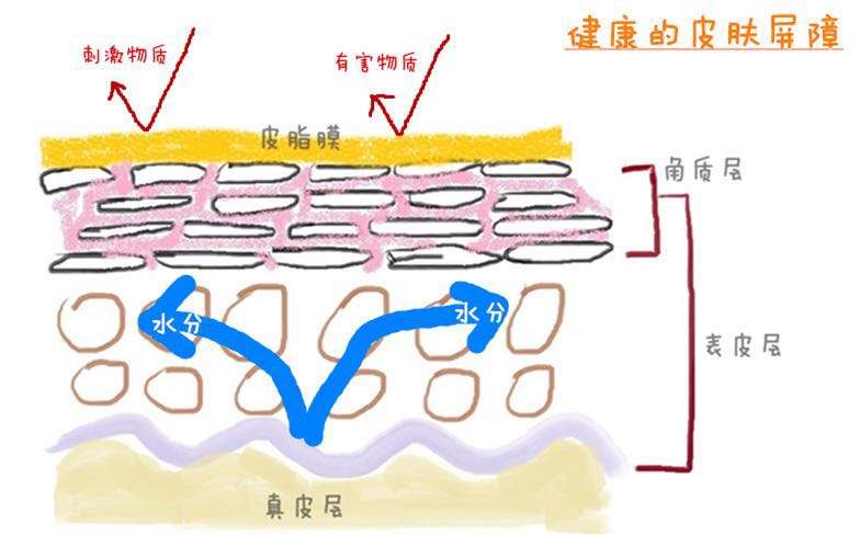 軍事迷的護(hù)膚解讀：我將合理清潔、保濕、防曬